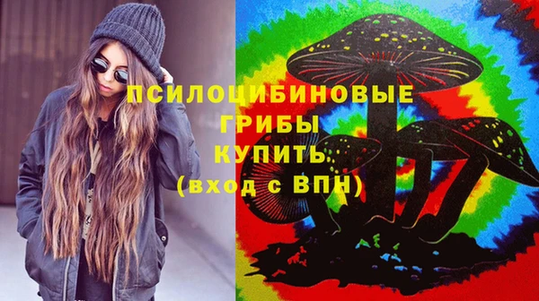твердый Каменногорск