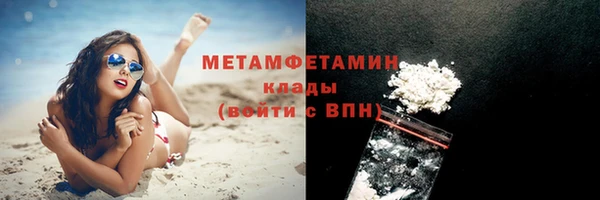 мдпв Инсар