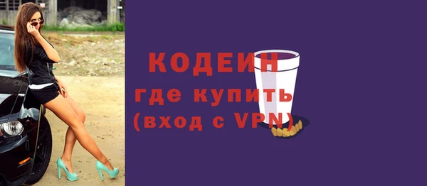 мдпв Инсар