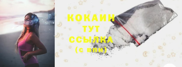 твердый Каменногорск