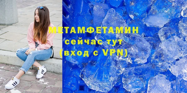 прущие грибы Карпинск