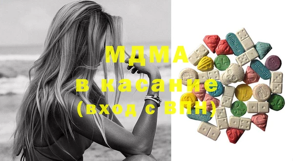 мдпв Инсар
