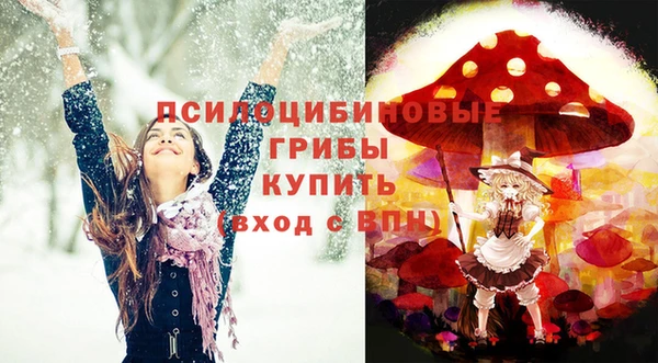 твердый Каменногорск