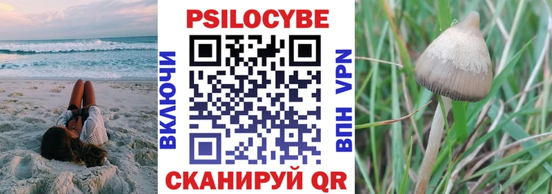 Псилоцибиновые грибы Cubensis  Купить  Исилькуль 